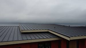 Steel Roofing in Parkville, MO